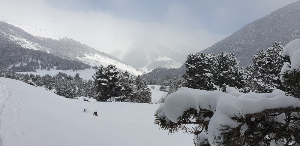 Sneeuwschoenwandelen naar het Santuari Montgarri (Val d'Aran / Catalonië)