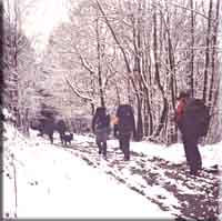 foto: Fred Verheul