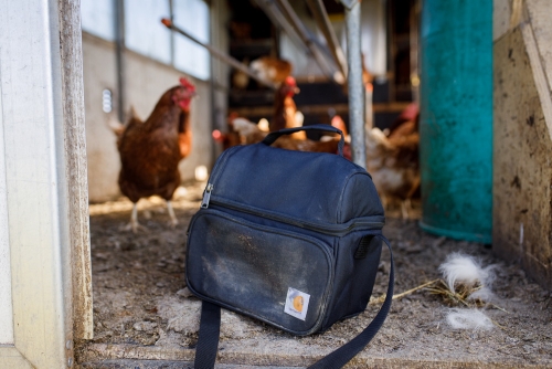 Carhartt komt met robuuste koeltas voor lange werkdagen en onderweg
