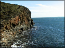 Het pad zig-zagt langs de cliffen waar je hier en daar bordjes met uitleg tegenkomt
