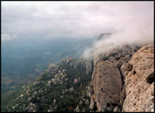 In het dal de vele wijngaarden