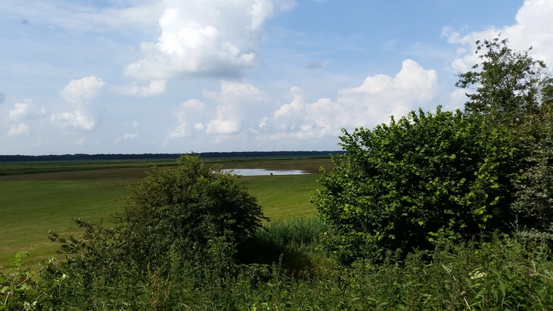 6 prachtige wandelgebieden in Nederland