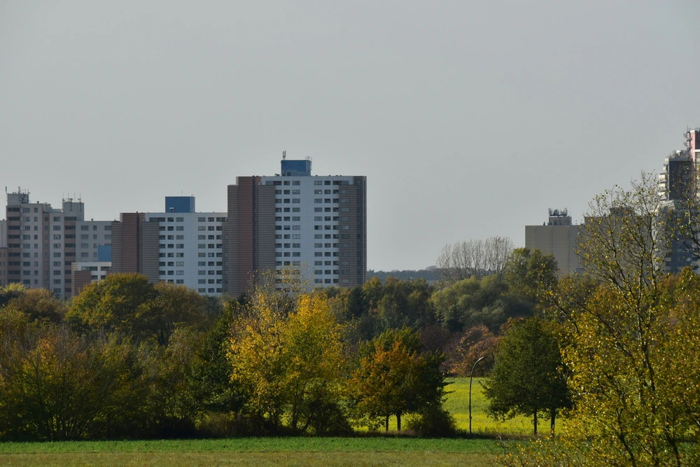 Dichter bij de natuur wonen: het beste appartement huren voor rust en vrijheid