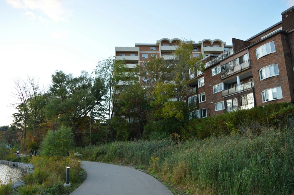 Dichter bij de natuur wonen: het beste appartement huren voor rust en vrijheid