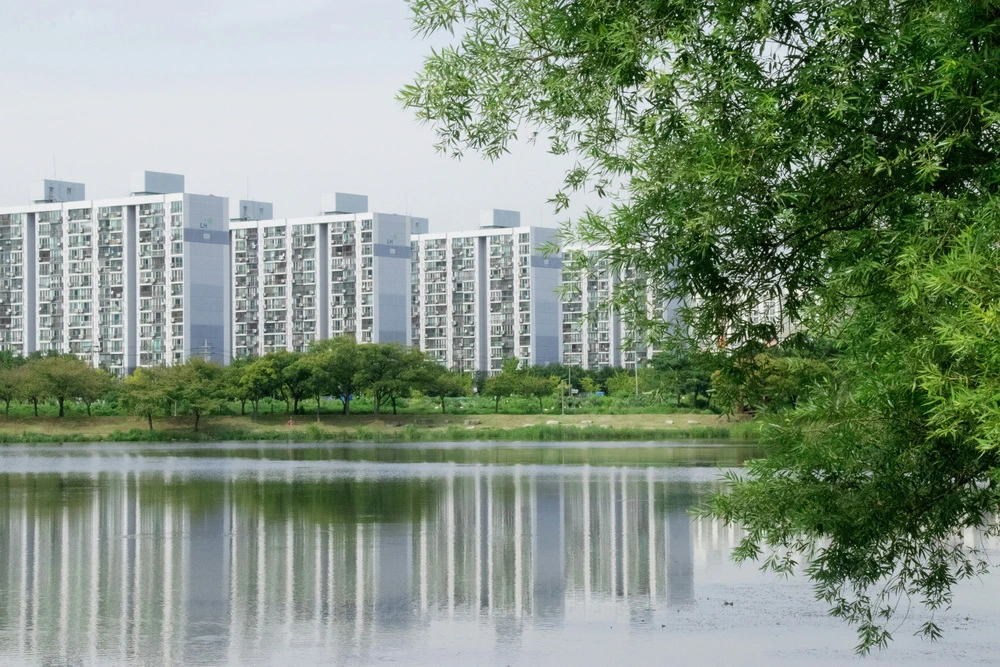 Dichter bij de natuur wonen: het beste appartement huren voor rust en vrijheid