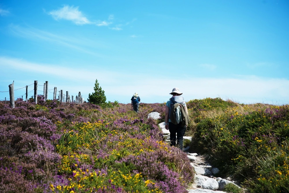 Wicklow Way, in zeven dagen wandelend naar Dublin
