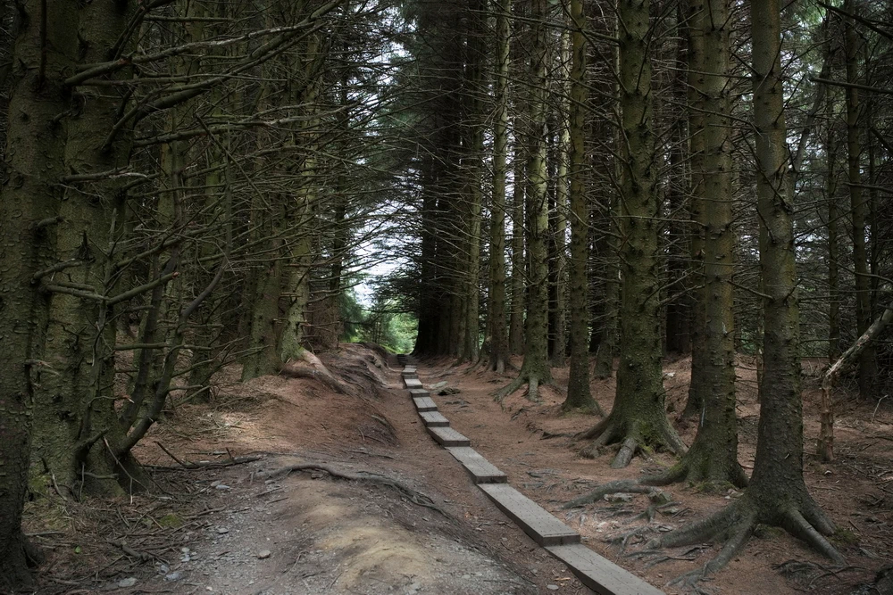 Wicklow Way, in zeven dagen wandelend naar Dublin