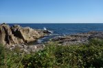 DSC06317.JPG