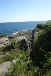 DSC06362.JPG
