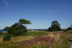 DSC06408.JPG