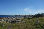 DSC06412.JPG