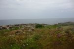 DSC06453.JPG