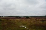 DSC06493.JPG
