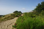 DSC06708.JPG