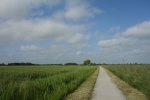 DSC03271.JPG