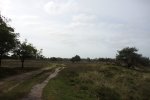 DSC03424.JPG
