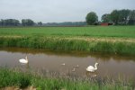DSC05139.JPG