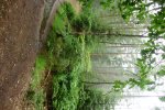 DSC07774.JPG