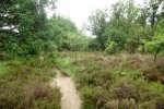 DSC07807.JPG