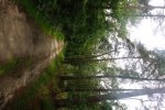 DSC07926.JPG