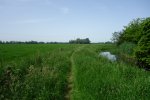 DSC08592.JPG