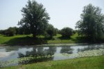 DSC08621.JPG