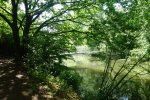 DSC08684.JPG