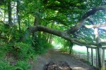 DSC08735.JPG