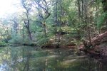 DSC08744.JPG