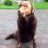 tootsie