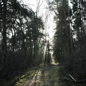 eindejaars-hike-10